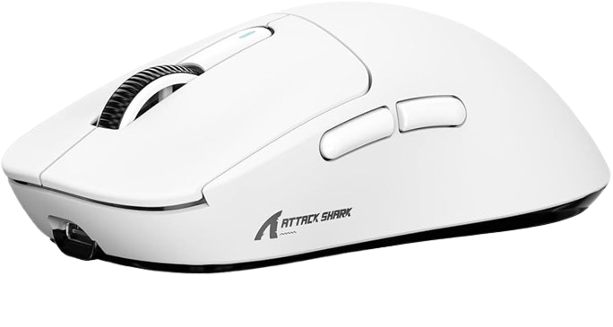 Mouse